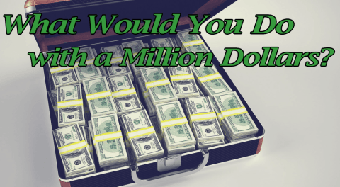 what-would-you-do-with-a-million-dollars